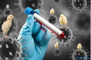 H5N1 (Flu Burung)